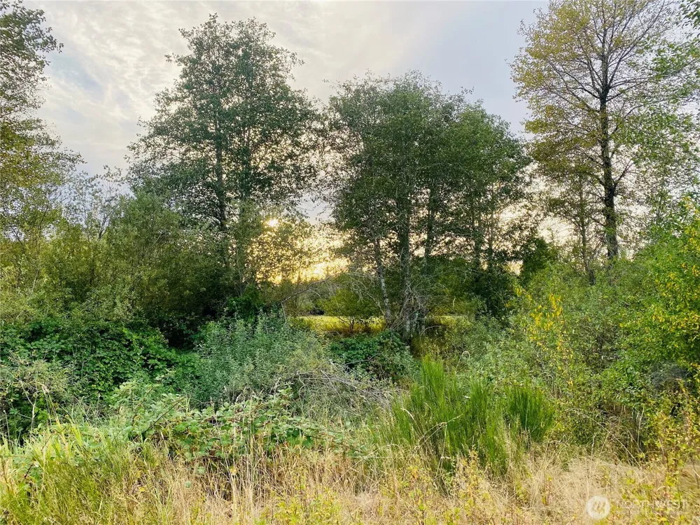 3444 W Matlock-Brady Road Elma, WA 98541