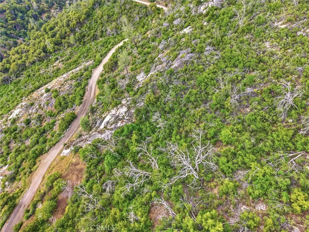4 Harris Road Mariposa, CA 95338