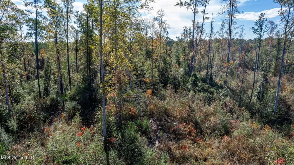 36.08 +/- Acres Placid Drive Sumrall, MS 39482