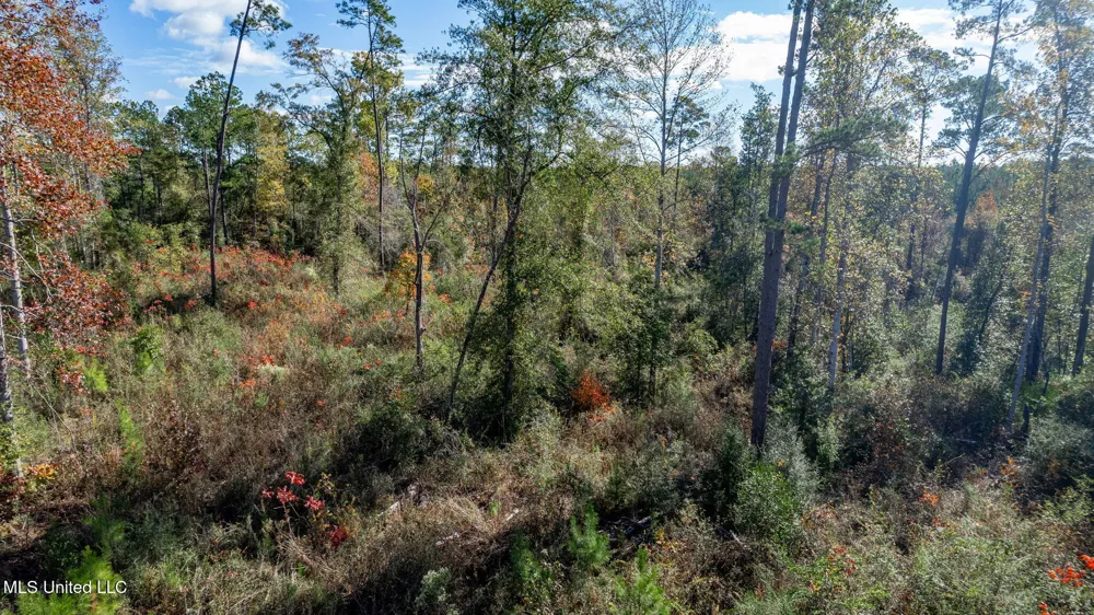 36.08 +/- Acres Placid Drive Sumrall, MS 39482