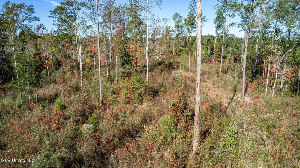 36.08 +/- Acres Placid Drive Sumrall, MS 39482