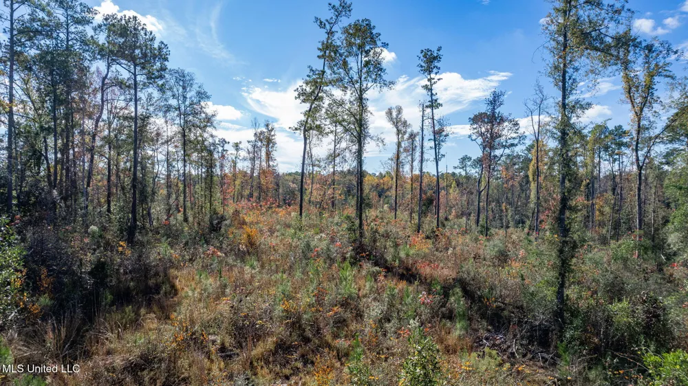 36.08 +/- Acres Placid Drive Sumrall, MS 39482