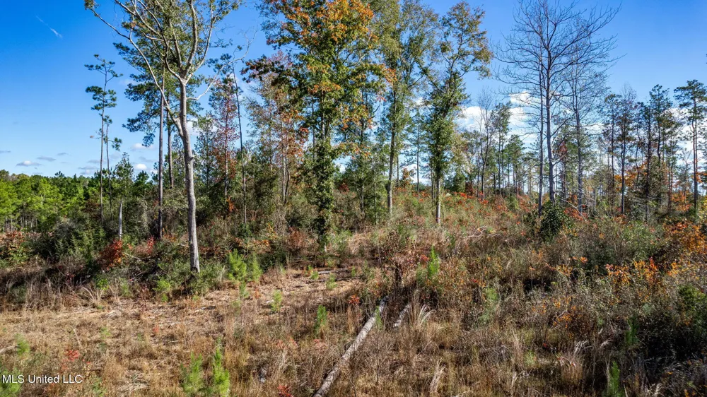 36.08 +/- Acres Placid Drive Sumrall, MS 39482