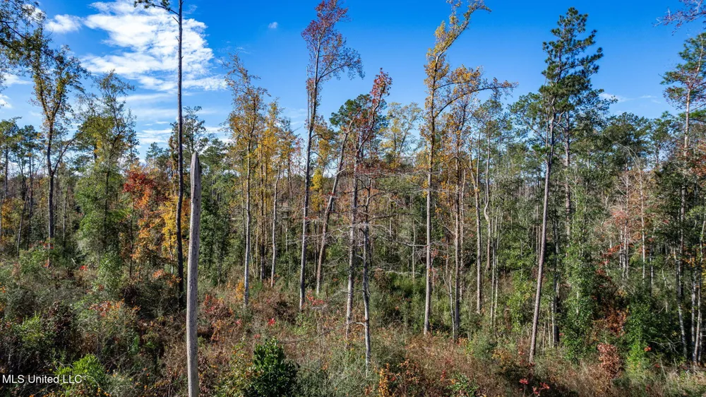36.08 +/- Acres Placid Drive Sumrall, MS 39482