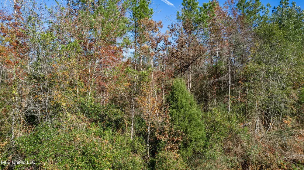 36.08 +/- Acres Placid Drive Sumrall, MS 39482