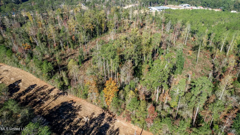 36.08 +/- Acres Placid Drive Sumrall, MS 39482