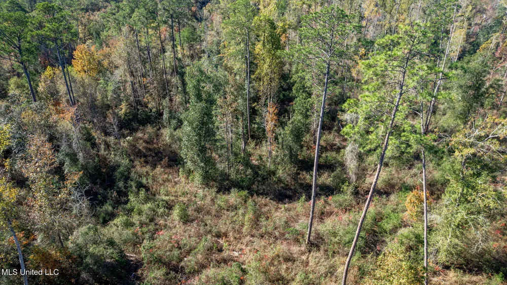 36.08 +/- Acres Placid Drive Sumrall, MS 39482