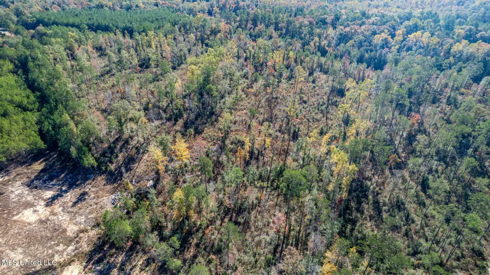 36.08 +/- Acres Placid Drive Sumrall, MS 39482