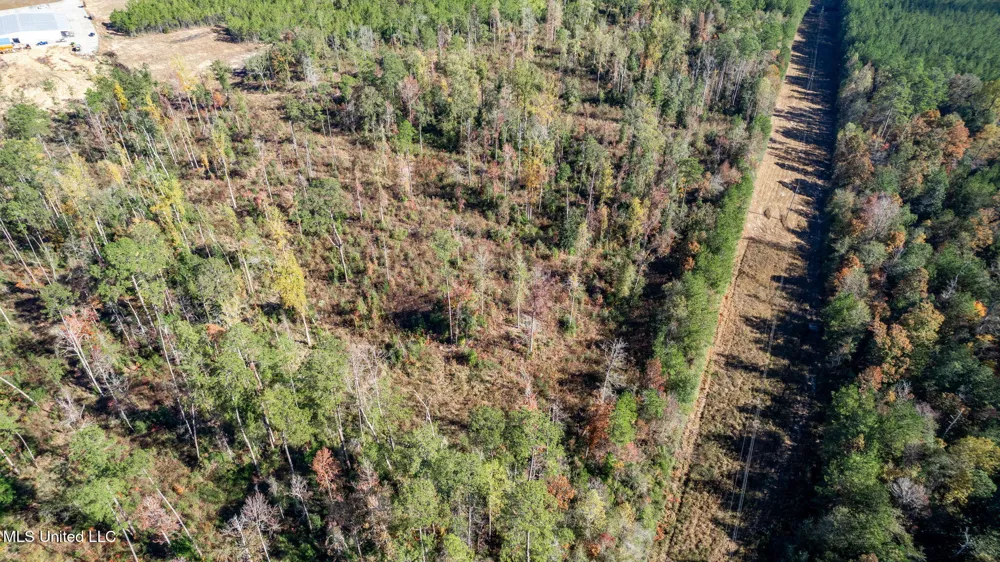 36.08 +/- Acres Placid Drive Sumrall, MS 39482