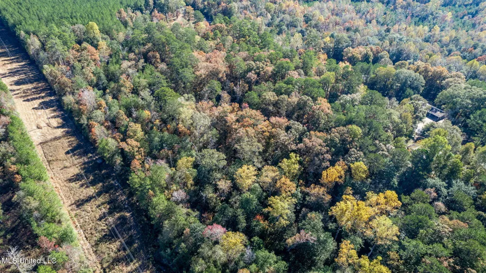 36.08 +/- Acres Placid Drive Sumrall, MS 39482