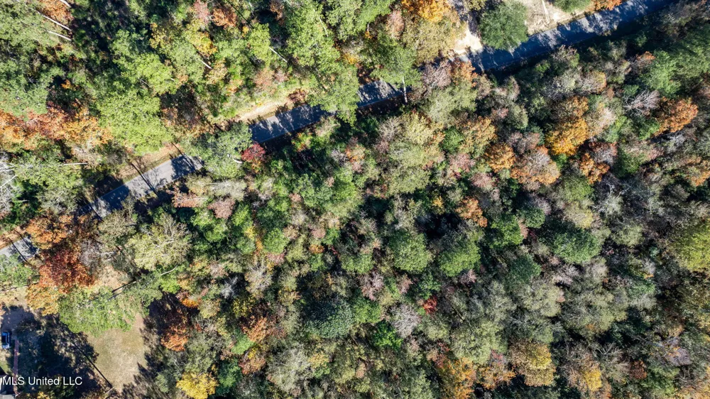 36.08 +/- Acres Placid Drive Sumrall, MS 39482