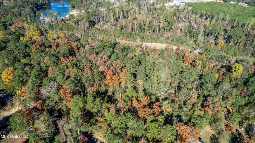36.08 +/- Acres Placid Drive Sumrall, MS 39482
