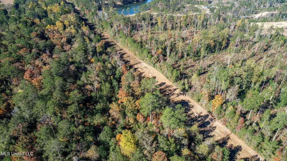 36.08 +/- Acres Placid Drive Sumrall, MS 39482