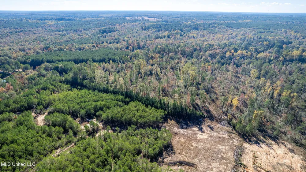 36.08 +/- Acres Placid Drive Sumrall, MS 39482