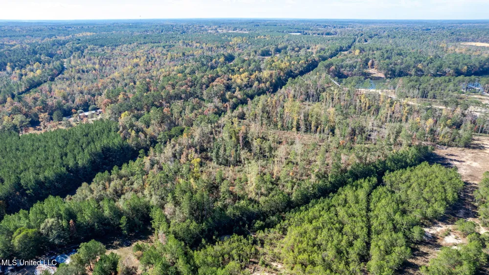 36.08 +/- Acres Placid Drive Sumrall, MS 39482