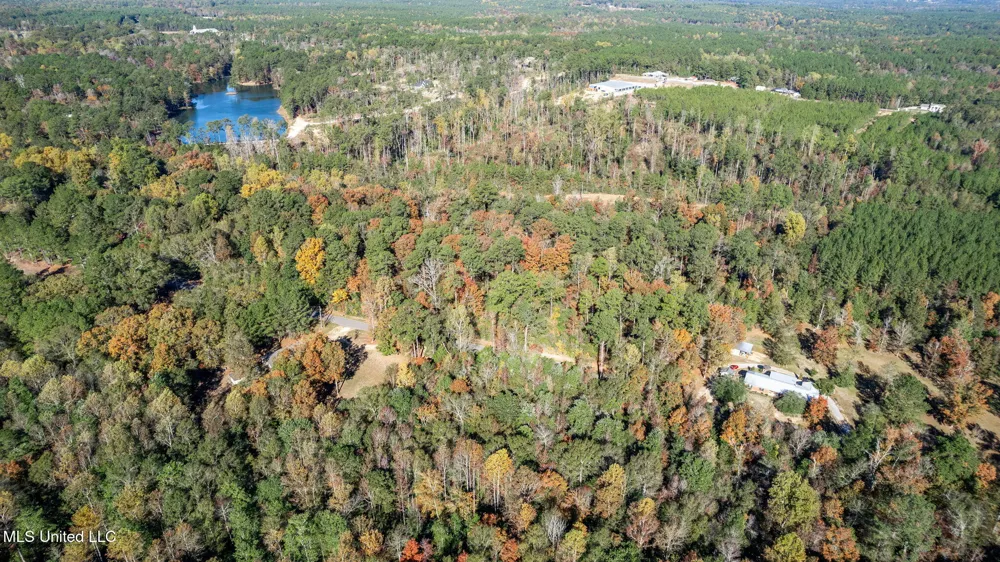 36.08 +/- Acres Placid Drive Sumrall, MS 39482
