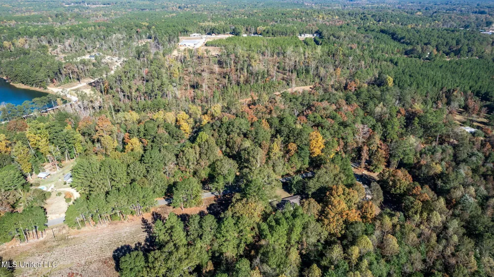 36.08 +/- Acres Placid Drive Sumrall, MS 39482
