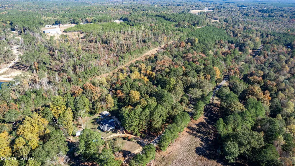 36.08 +/- Acres Placid Drive Sumrall, MS 39482