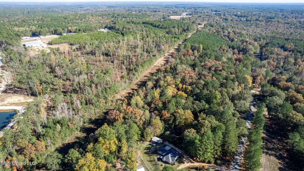 36.08 +/- Acres Placid Drive Sumrall, MS 39482