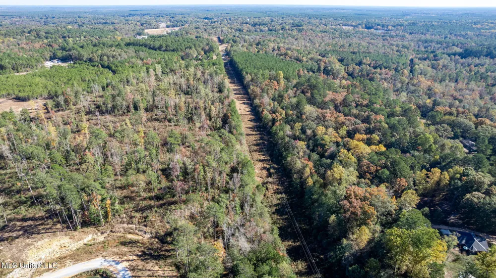 36.08 +/- Acres Placid Drive Sumrall, MS 39482