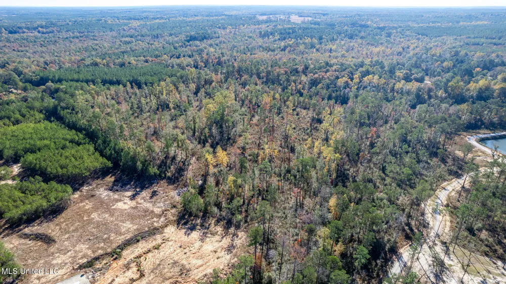 36.08 +/- Acres Placid Drive Sumrall, MS 39482