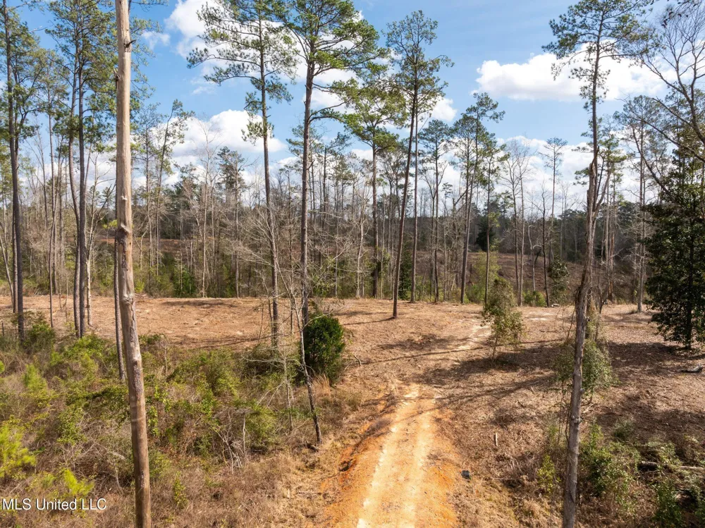 36.08 +/- Acres Placid Drive Sumrall, MS 39482