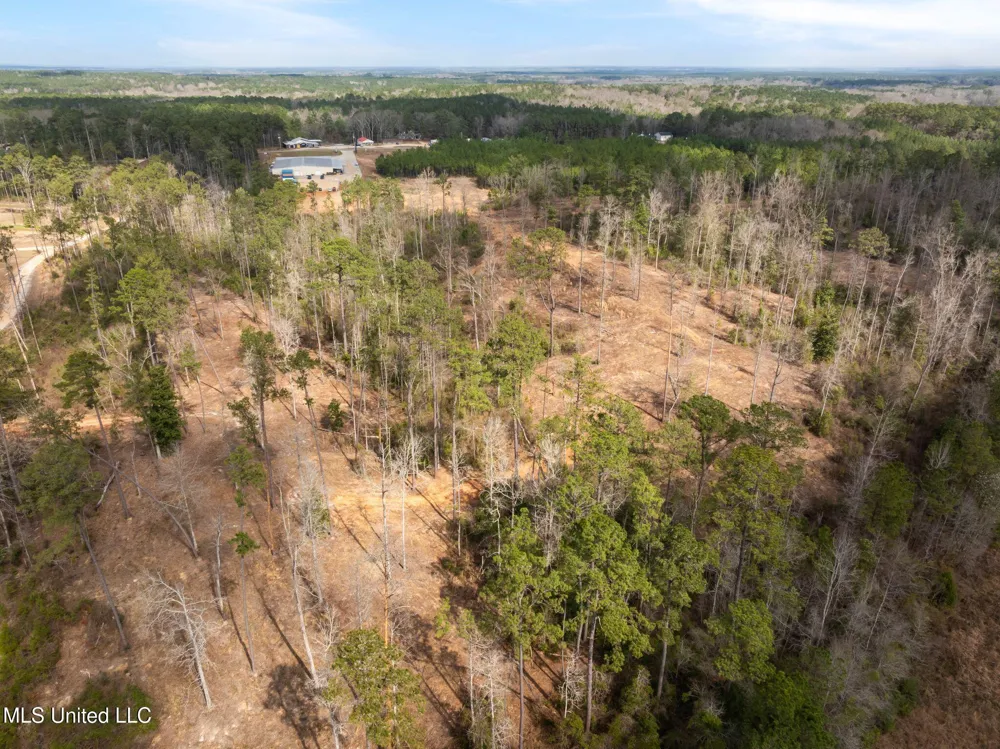36.08 +/- Acres Placid Drive Sumrall, MS 39482
