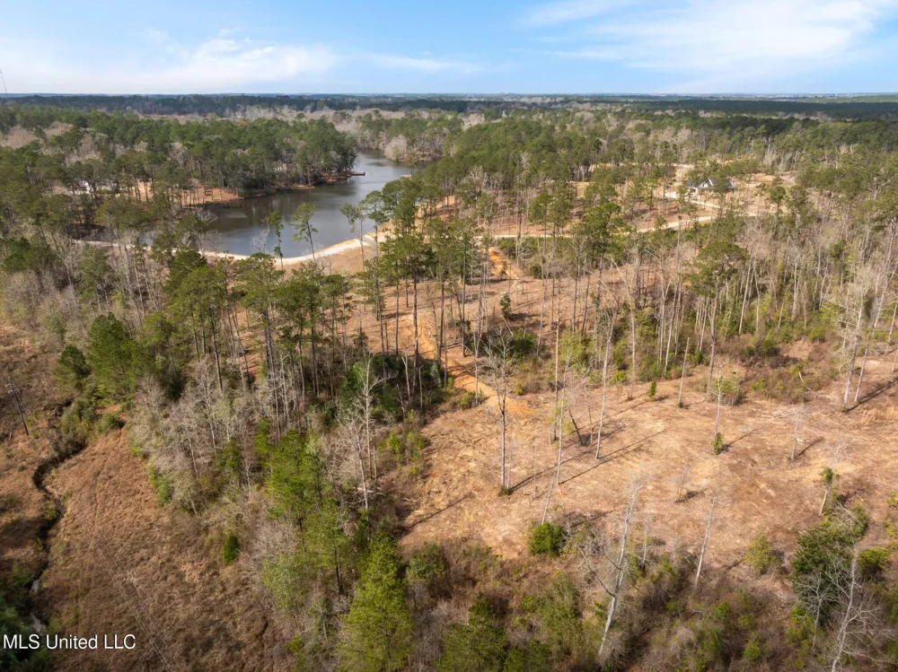 36.08 +/- Acres Placid Drive Sumrall, MS 39482