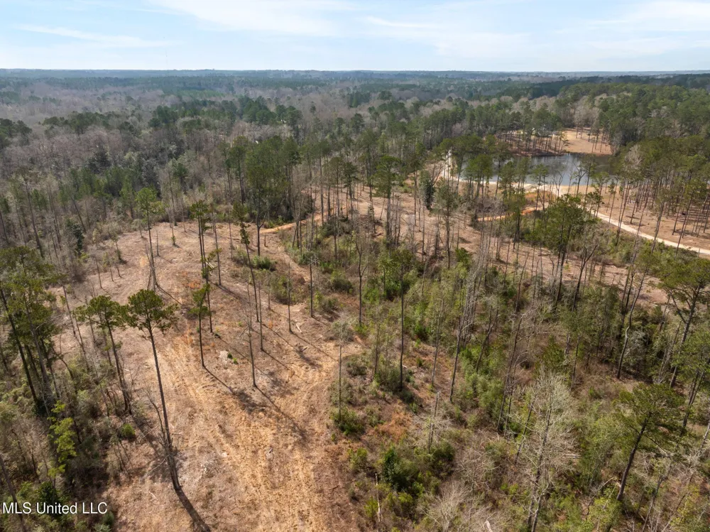 36.08 +/- Acres Placid Drive Sumrall, MS 39482