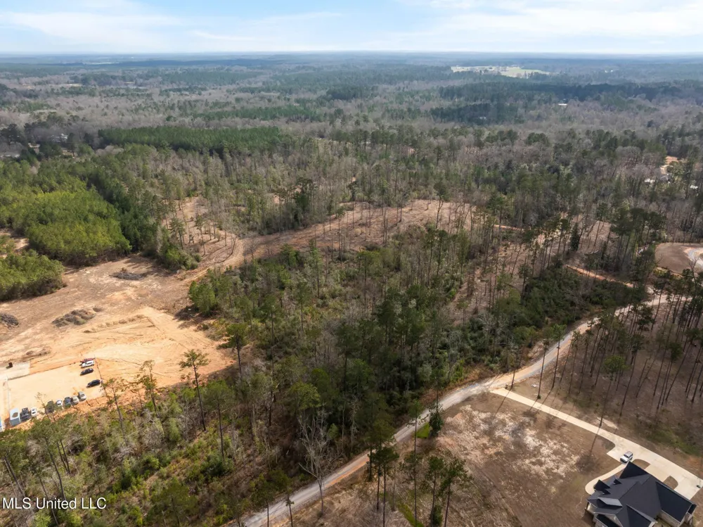 36.08 +/- Acres Placid Drive Sumrall, MS 39482
