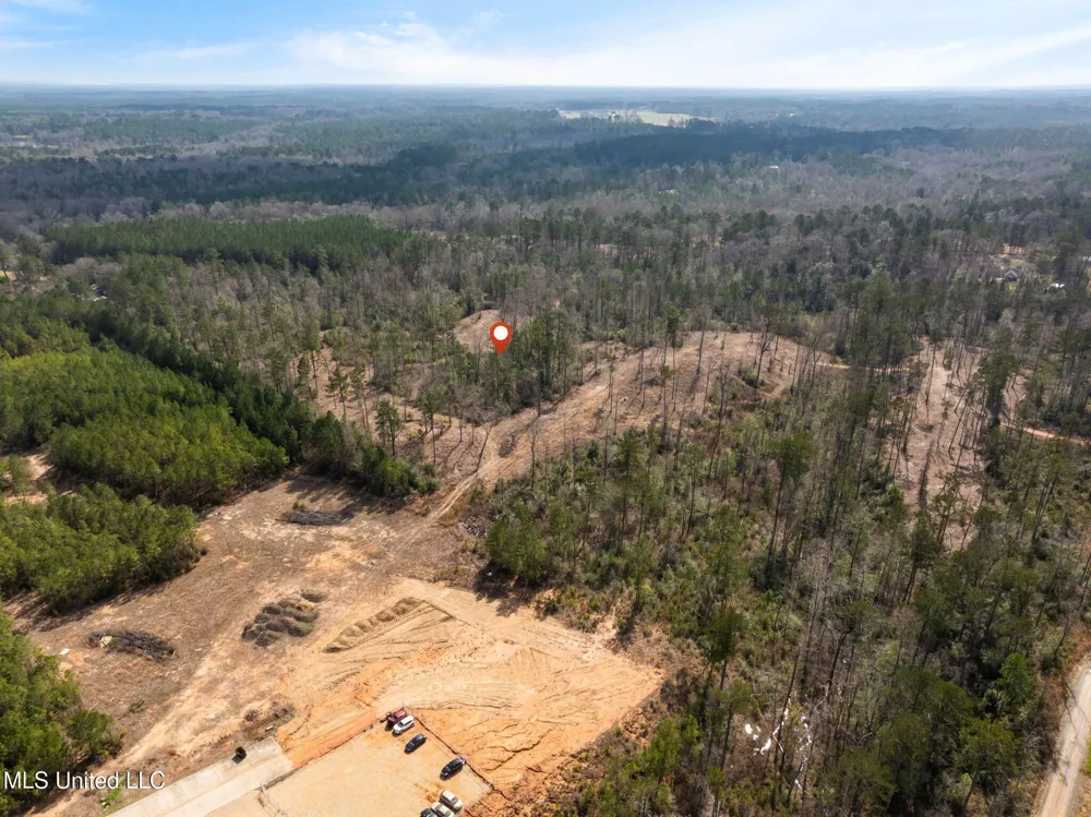 36.08 +/- Acres Placid Drive Sumrall, MS 39482