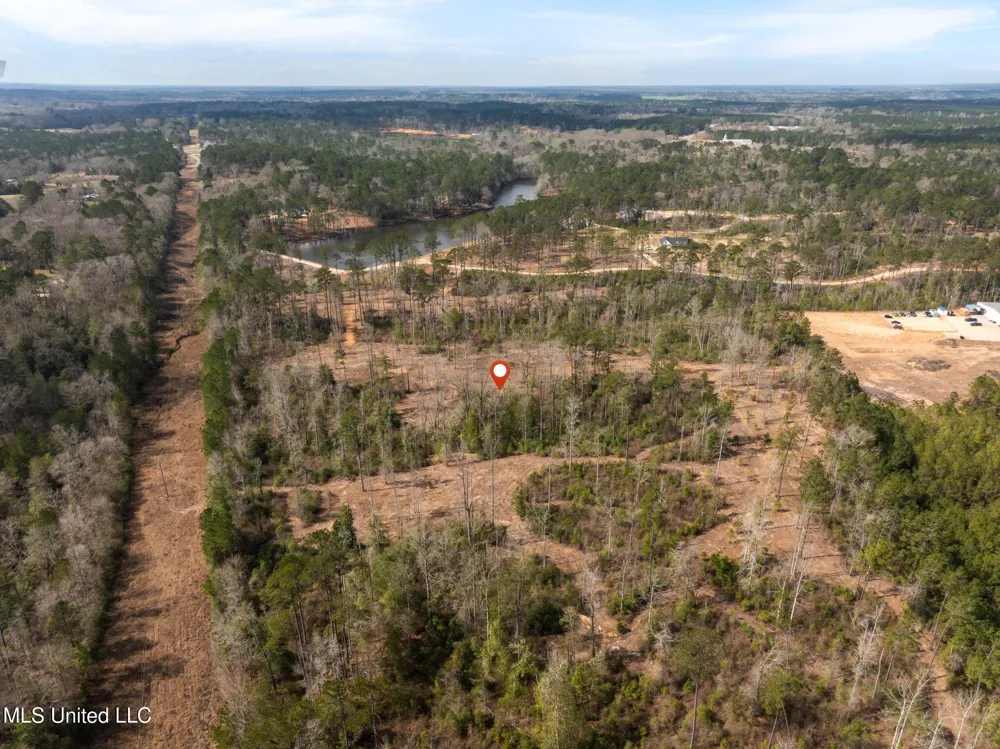 36.08 +/- Acres Placid Drive Sumrall, MS 39482