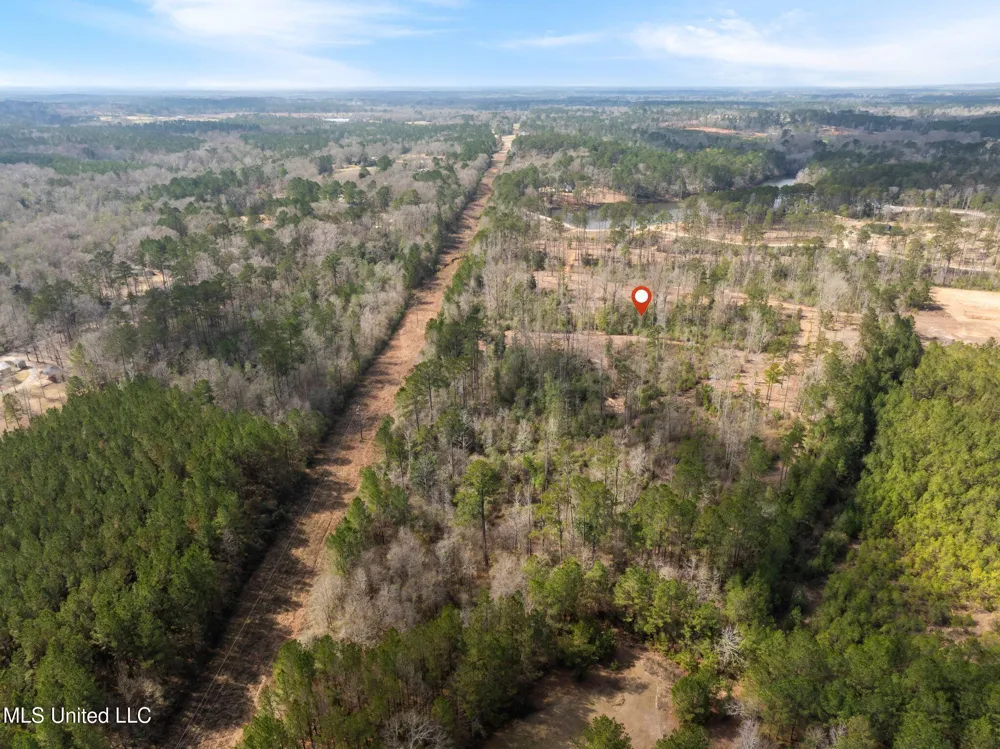 36.08 +/- Acres Placid Drive Sumrall, MS 39482