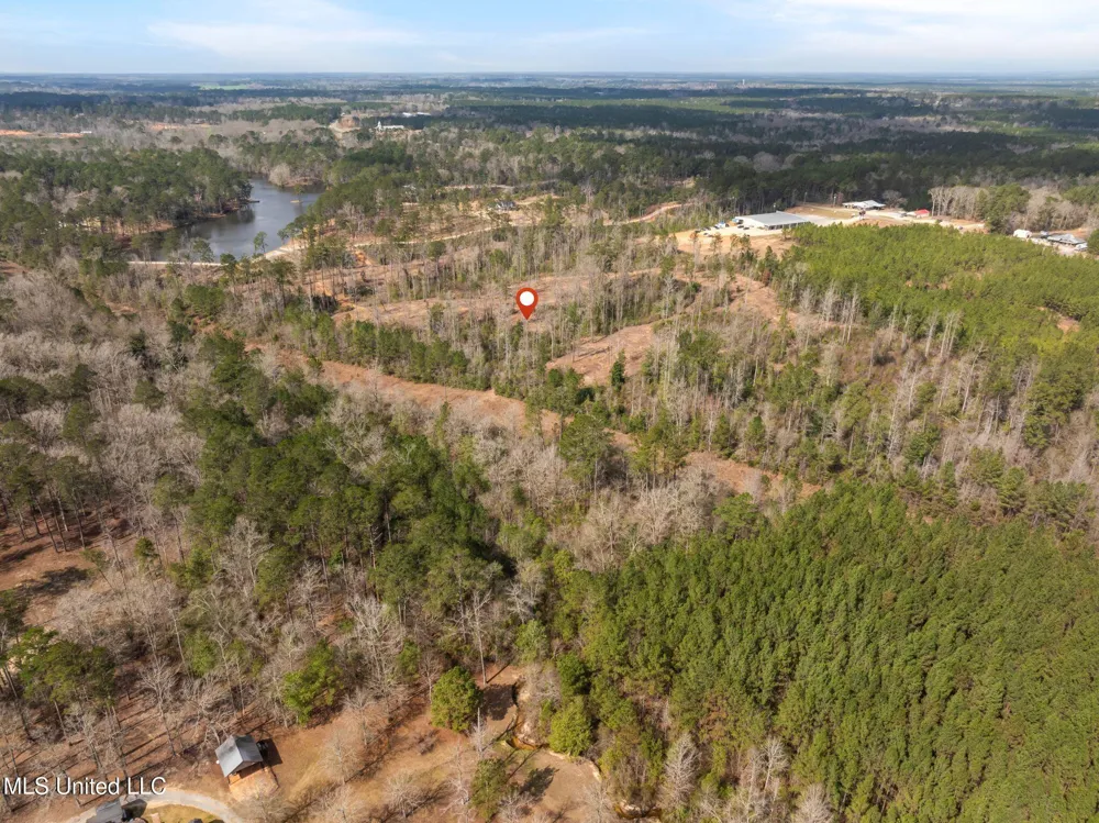 36.08 +/- Acres Placid Drive Sumrall, MS 39482