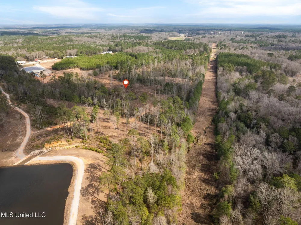 36.08 +/- Acres Placid Drive Sumrall, MS 39482