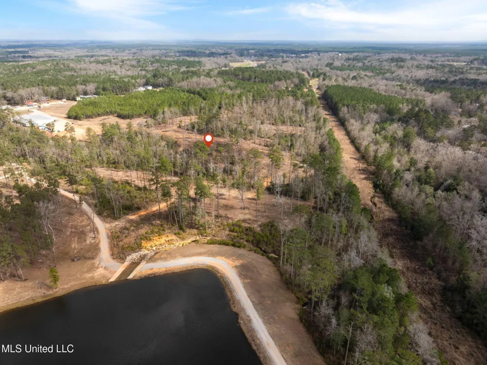 36.08 +/- Acres Placid Drive Sumrall, MS 39482