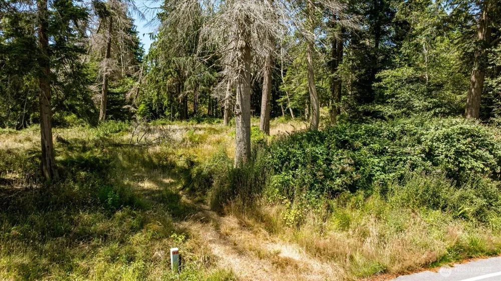 2458 North Bluff Rd Greenbank, WA 98253