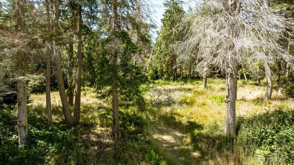 2458 North Bluff Rd Greenbank, WA 98253