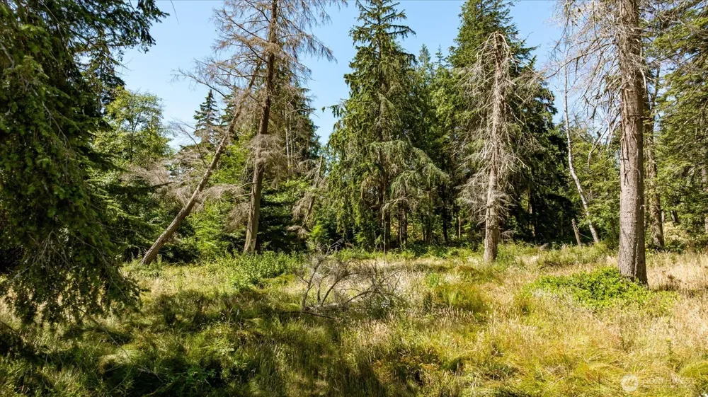 2458 North Bluff Rd Greenbank, WA 98253