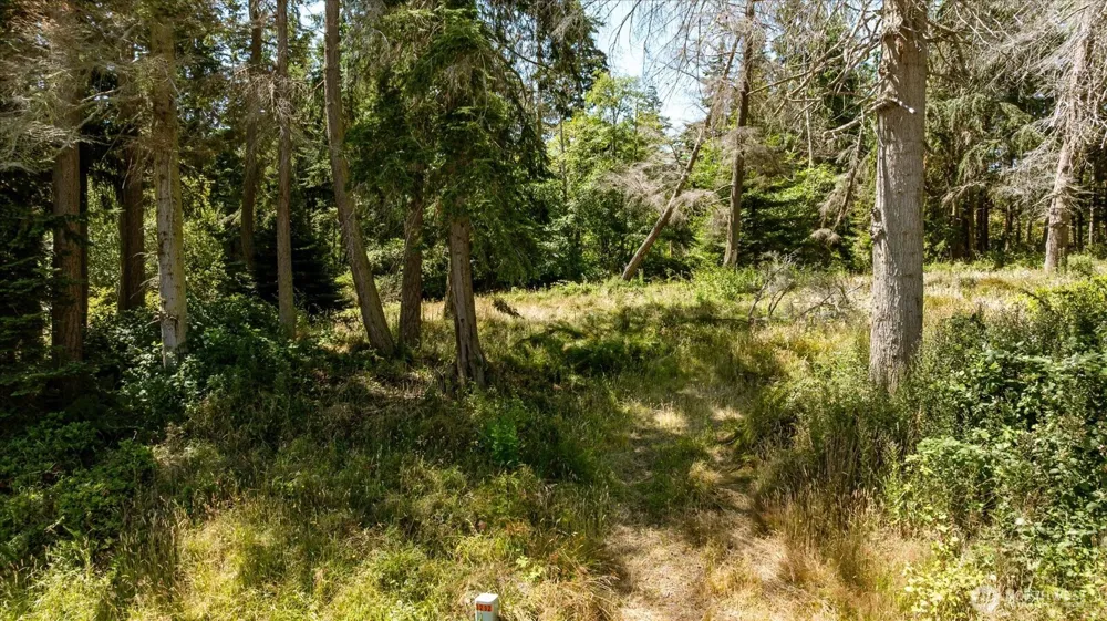 2458 North Bluff Rd Greenbank, WA 98253
