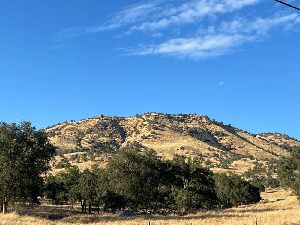 8058 Monreal Dr Sanger, CA 93657