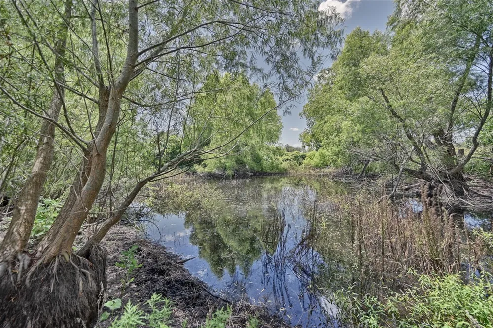 CR 318 Navasota, TX 77868