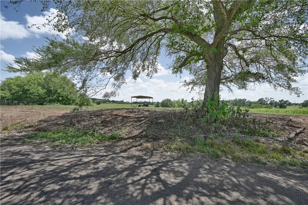 CR 318 Navasota, TX 77868