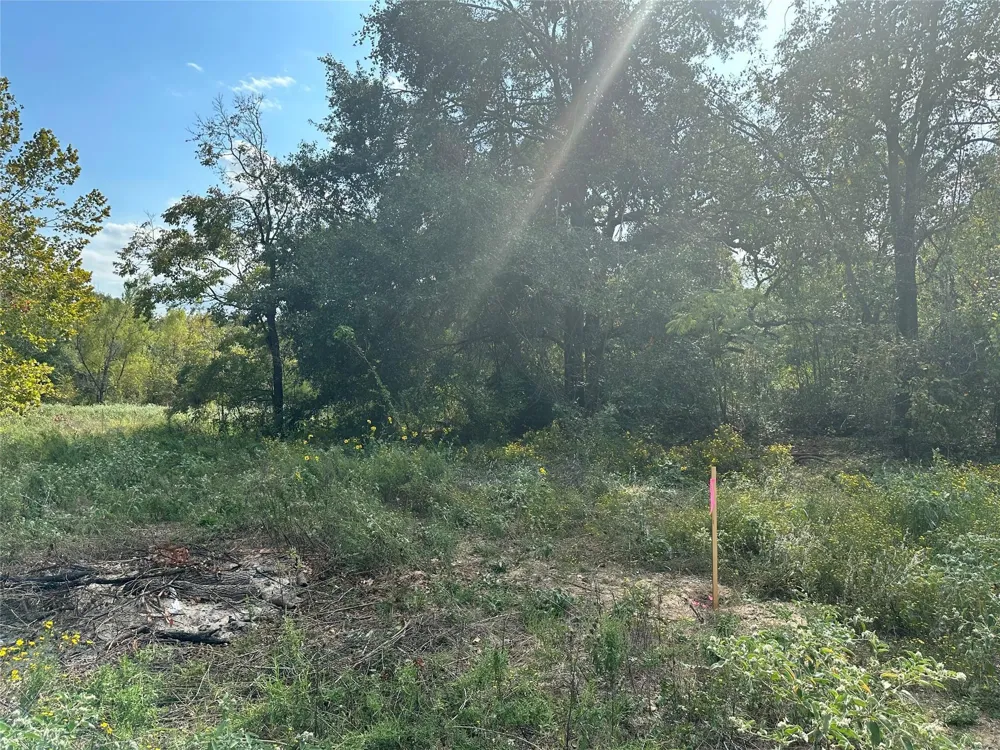 13701 Cr 349 Jewett, TX 75846