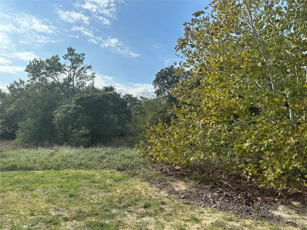 13701 Cr 349 Jewett, TX 75846