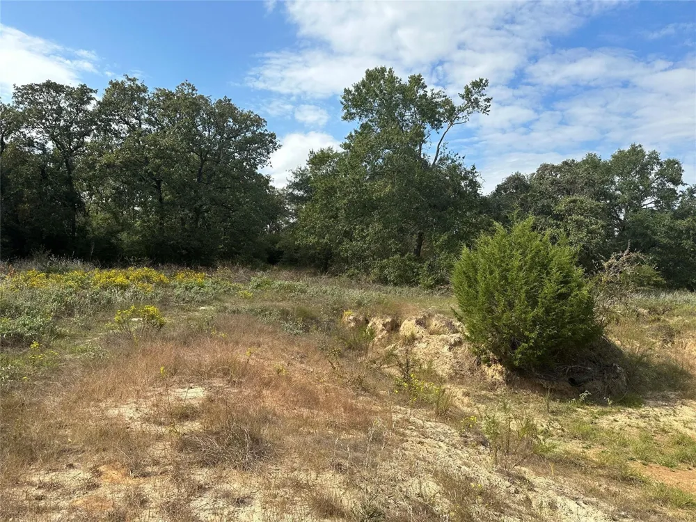 13701 Cr 349 Jewett, TX 75846