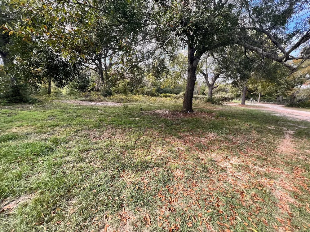 13701 Cr 349 Jewett, TX 75846