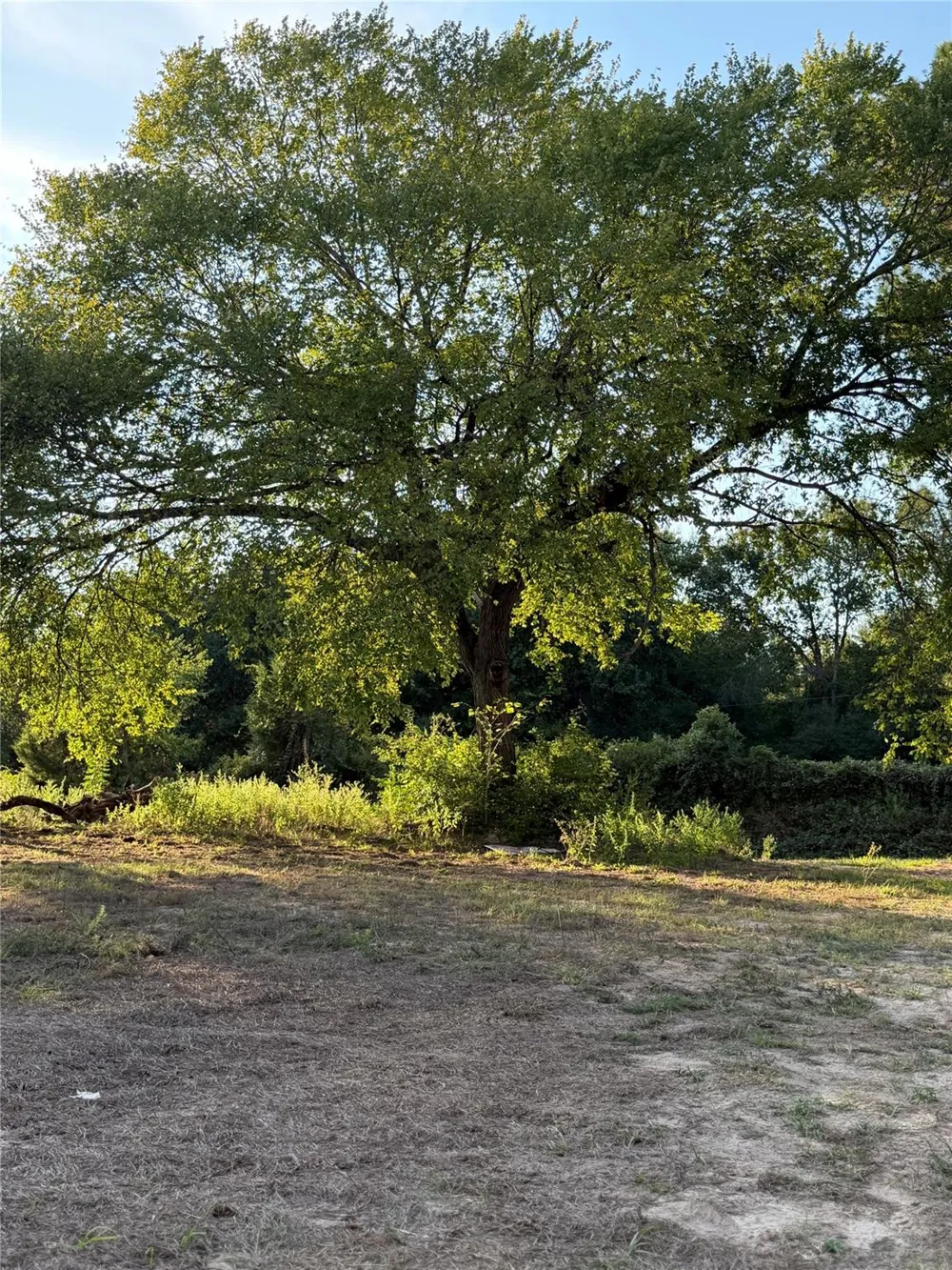 13701 Cr 349 Jewett, TX 75846