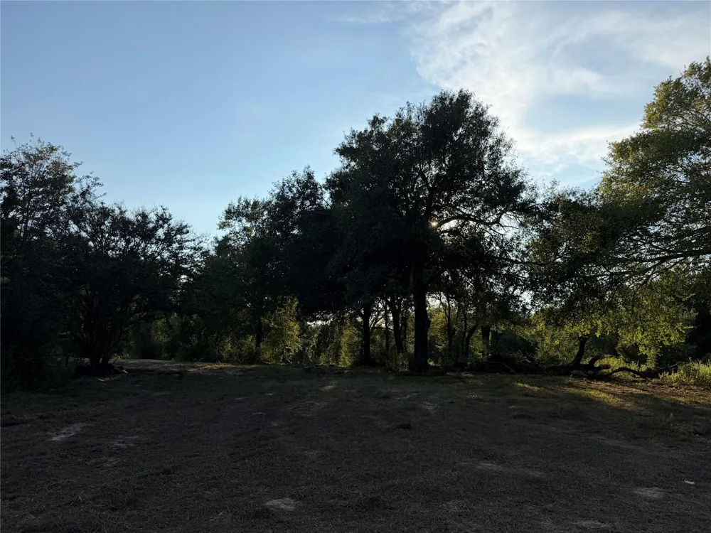 13701 Cr 349 Jewett, TX 75846