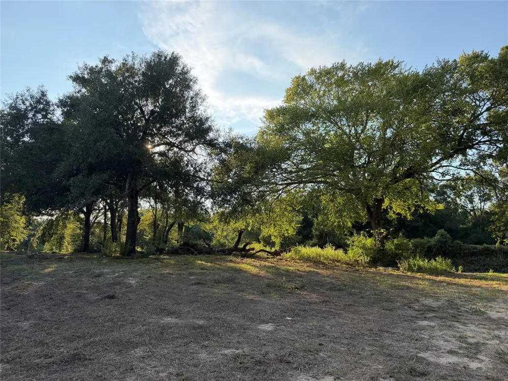 13701 Cr 349 Jewett, TX 75846